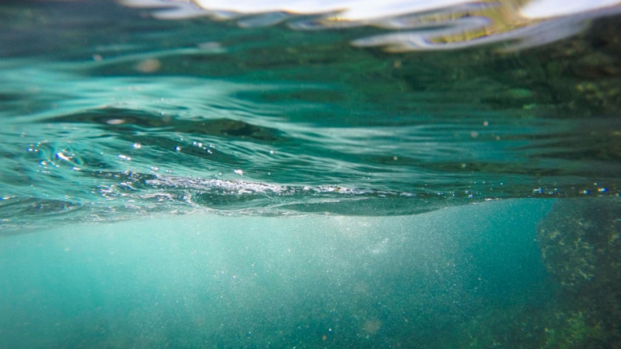 Alterna bryr sig om miljön